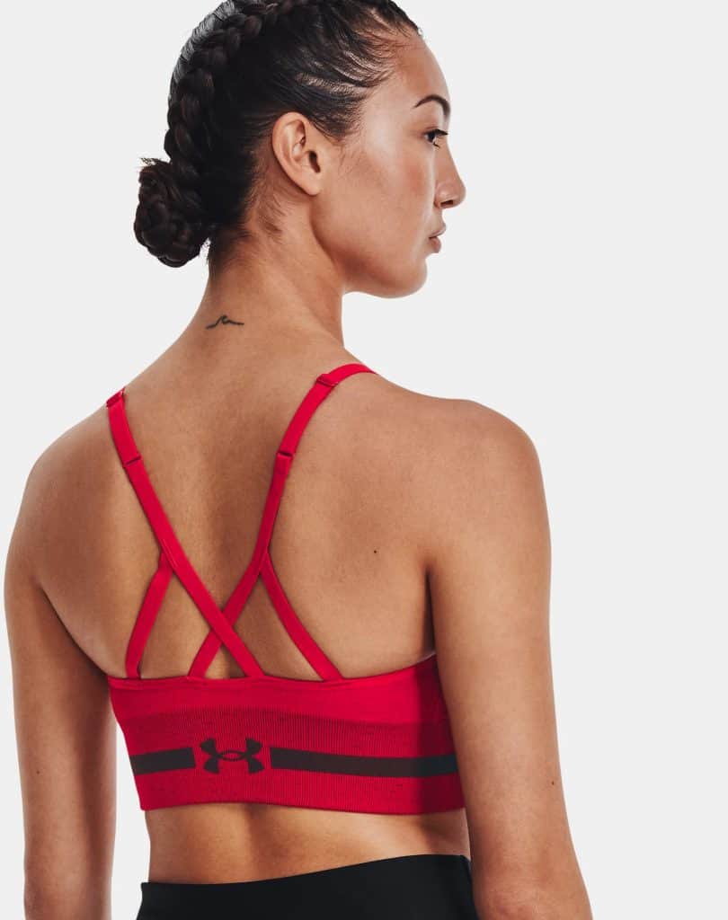 Under Armour Womens UA Seamless Low Long Heather Sports Bra worn back